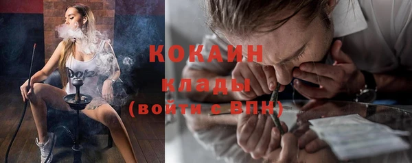 ГАЛЛЮЦИНОГЕННЫЕ ГРИБЫ Кулебаки