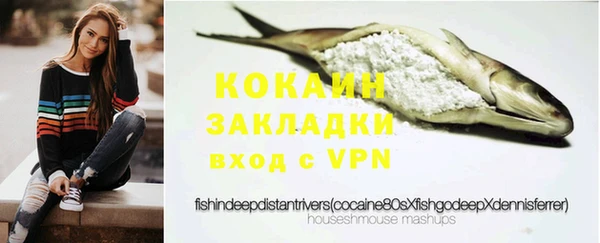 ГАЛЛЮЦИНОГЕННЫЕ ГРИБЫ Кулебаки