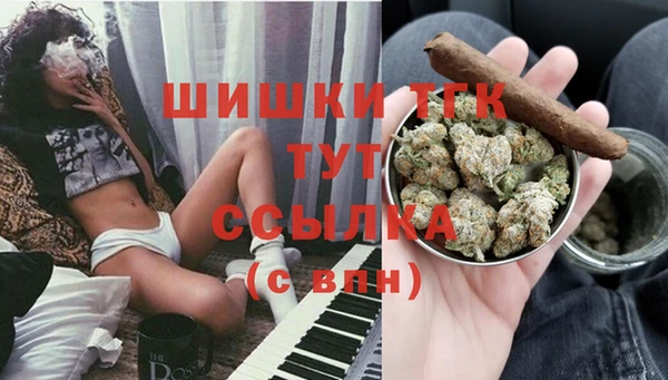 ГАЛЛЮЦИНОГЕННЫЕ ГРИБЫ Кулебаки