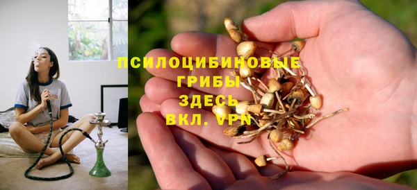 spice Кукмор