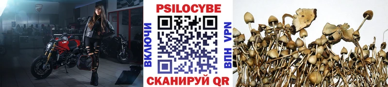 Галлюциногенные грибы ЛСД  Купить  Северодвинск 