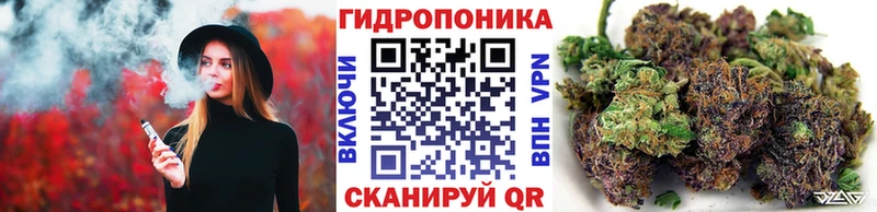 Купить закладки  Северодвинск  Конопля гибрид 